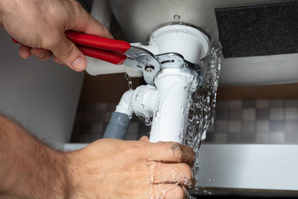 Best Sewage cleanup and water damage restoration  in Mclouth, KS