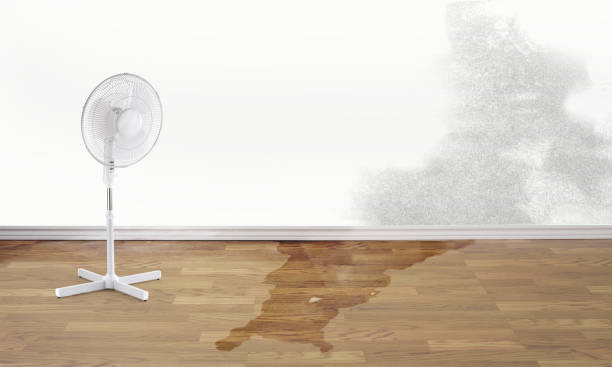 Best 24-hour water damage restoration  in Mclouth, KS
