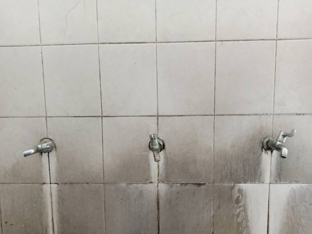 Best Fire Damage Restoration  in Mclouth, KS