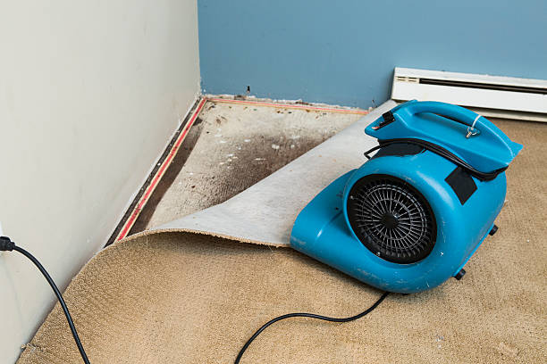 Best Water damage restoration cost  in Mclouth, KS